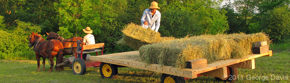 Haying at Full and By Farm