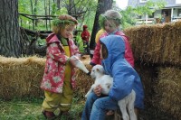 Children at Lakeside School feeding a lamb (Credit: Jen Zahorchak)