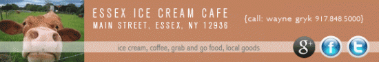 essex ice cream cafe banner