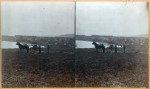 This vintage stereoview shows us a pair of men and horses overlooking Essex from the North.