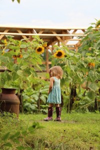Lakeside child in front of the sunflower garden