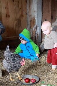 Feeding the Chickens (Credit: Jen Zahorchak)