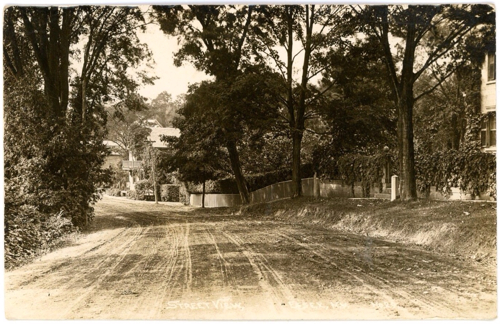 Street View, Essex, NY (Vintage postcard, unsent c. 1915)