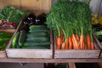 Veggies in the share at Full and By Farm