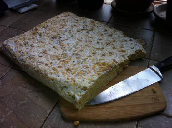 Making tempeh, a fermented soy product that originated in Indonesian. (Credit: Kristin Kimball)