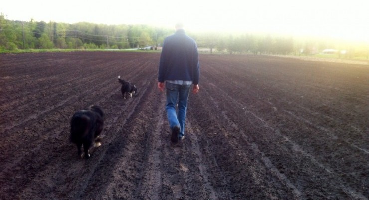 Walking a field at Essex Farm (Credit: Kristin Kimball)