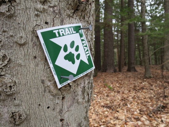 CATS trail marker seen on the Grand Hike (Credit: virtualdavis)