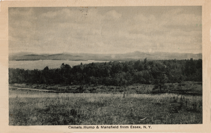 Vintage Postcard reads: "Camel's Hump & Mansfield from Essex, NY"
