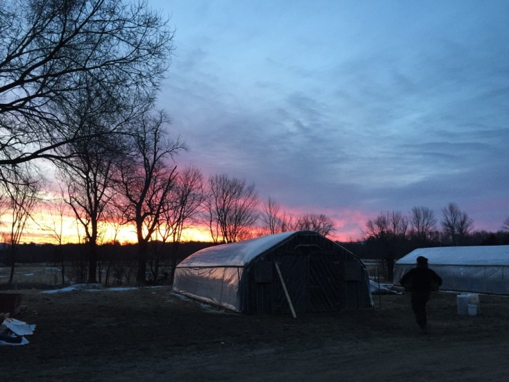 Sunrise at Essex Farm (Credit: Kristin Kimball)