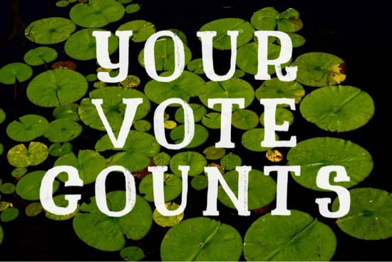 Your Vote Counts: Elect 2 out of 5 Essex Town Council Candidates