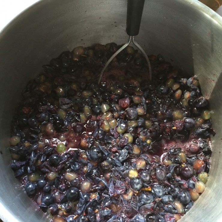 Making Grape Jam