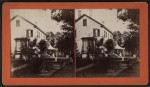 Vintage Stereoview: Sunnyside, Essex, NY