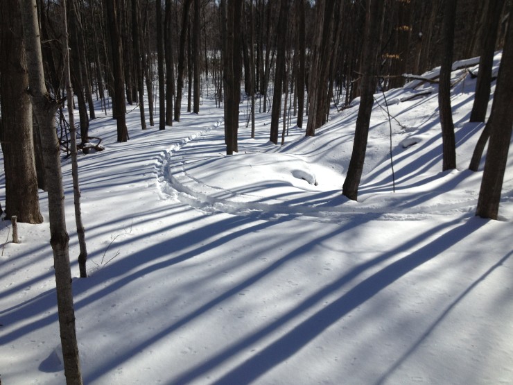 Snowy CATS Trail (Credit: Champlain Area Trails)