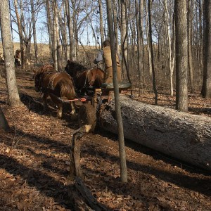 Reber Rock Draftwood logging with 100% draft power (Source: reberrockdraftwood.com)