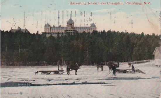 Vintage Postcard: Harvesting Ice on Lake Champlain, Plattsburg, NY