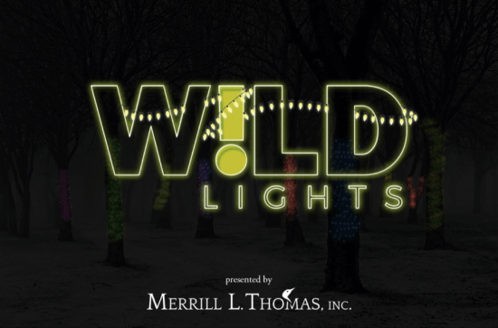 Wild Lights