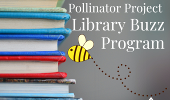 Adirondack Pollinator Project Library Buzz Program