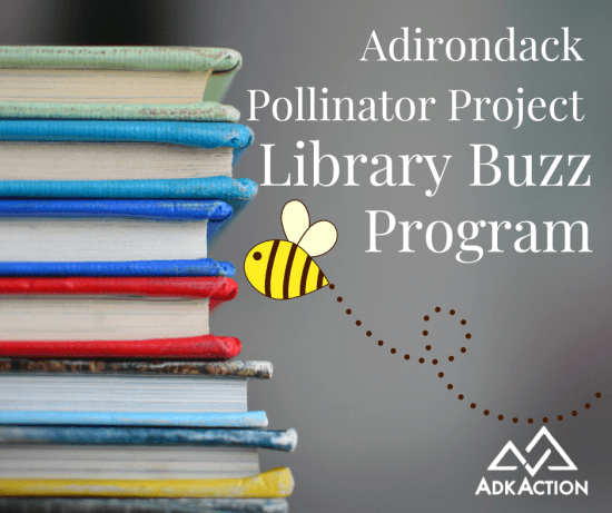 Adirondack Pollinator Project Library Buzz Program
