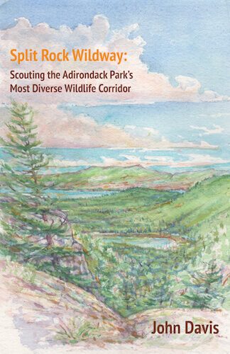 Split Rock Wildway: Scouting the Adirondack Park’s Most Diverse Wildlife Corridor