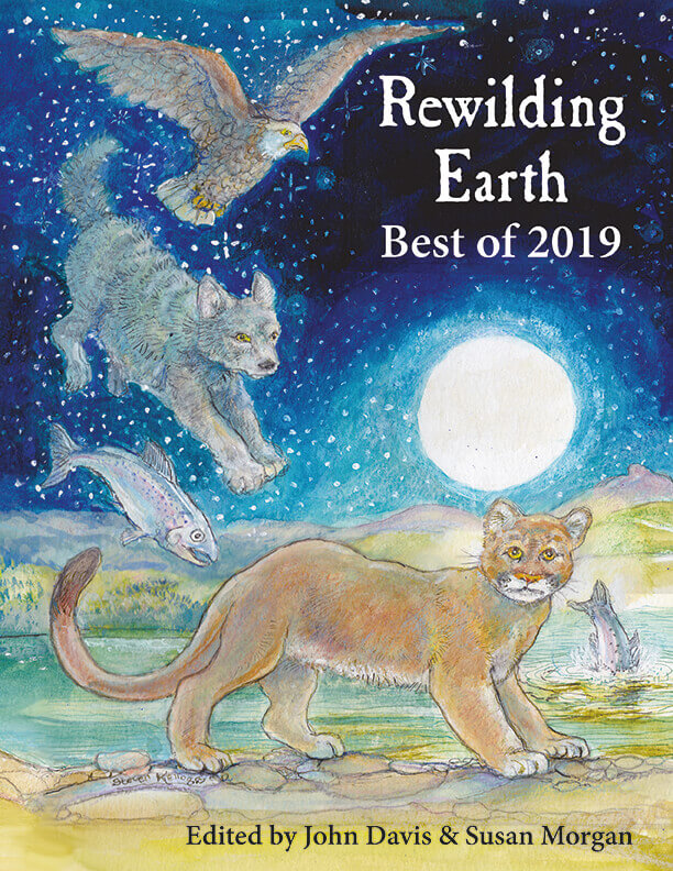 Rewilding Earth: Best of 2019